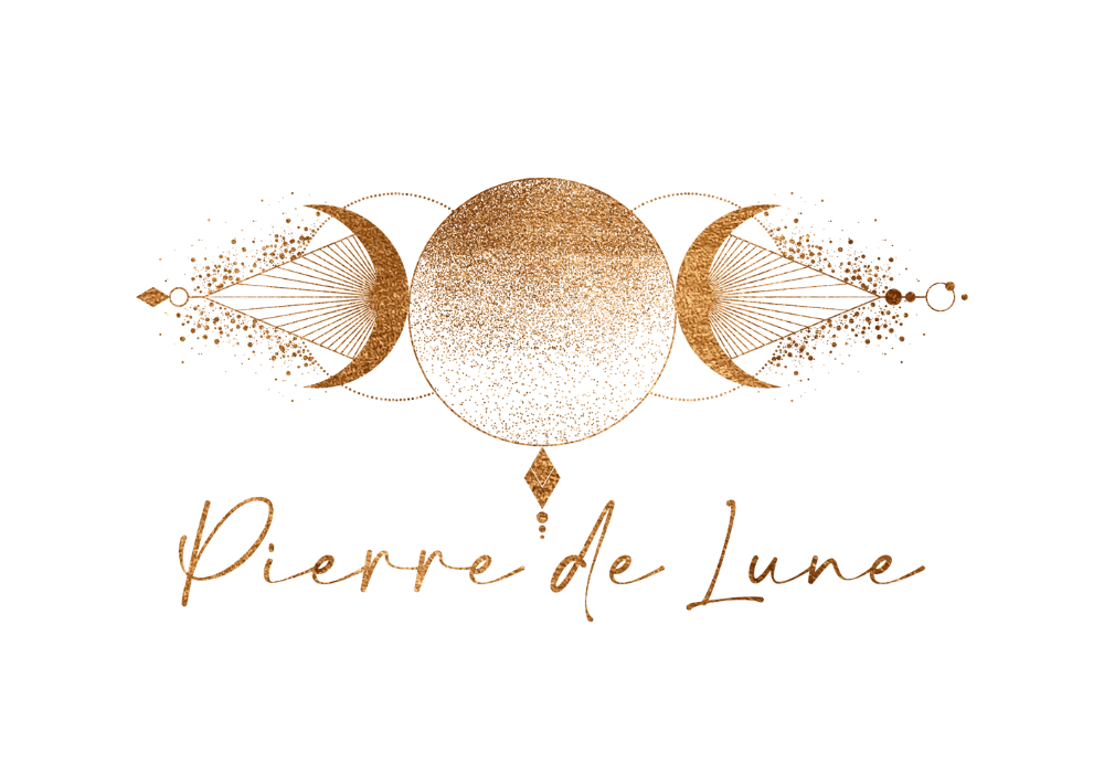 Home portfolio Pierre de Lune nxt branding