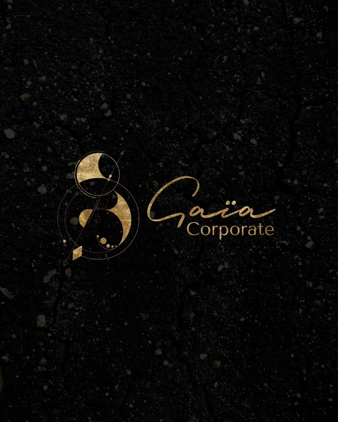 Projet logo Gaia