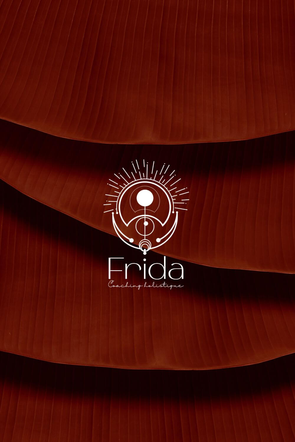 Frida header - 1